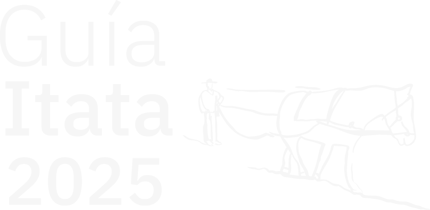 Itata Wine Guide