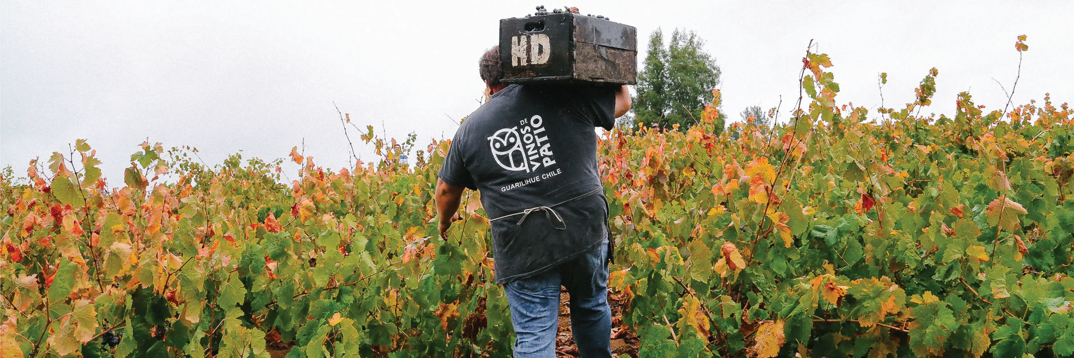 Viña Hermanos Díaz